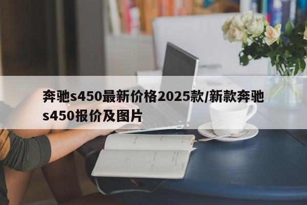 奔驰s450最新价格2025款/新款奔驰s450报价及图片