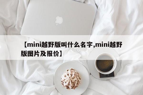 【mini越野版叫什么名字,mini越野版图片及报价】